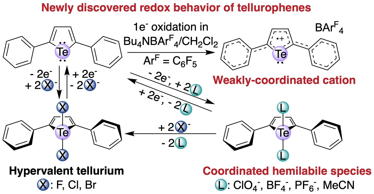 Coordination vs. Delocalization: Lessons in the Redox Chemistry of Tellurophenes