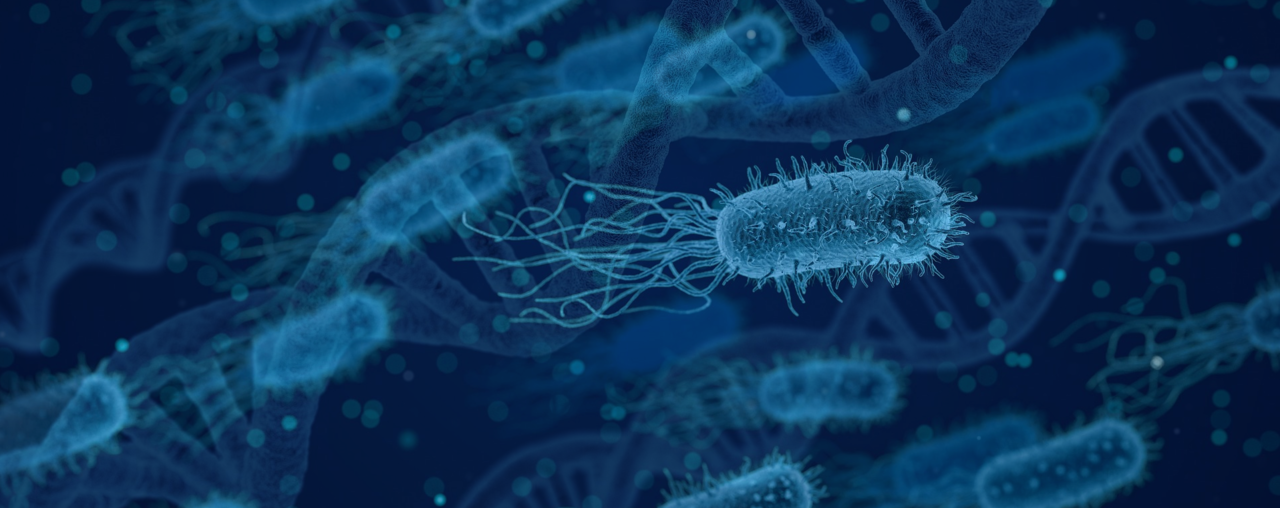 Expanding the genomic framework of the human gut microbiota