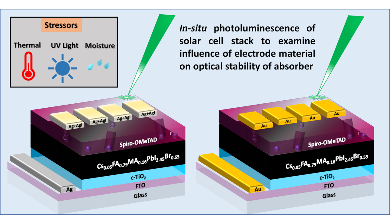 Electrode-absorber interactions as pathways for influencing stability of perovskite solar cells