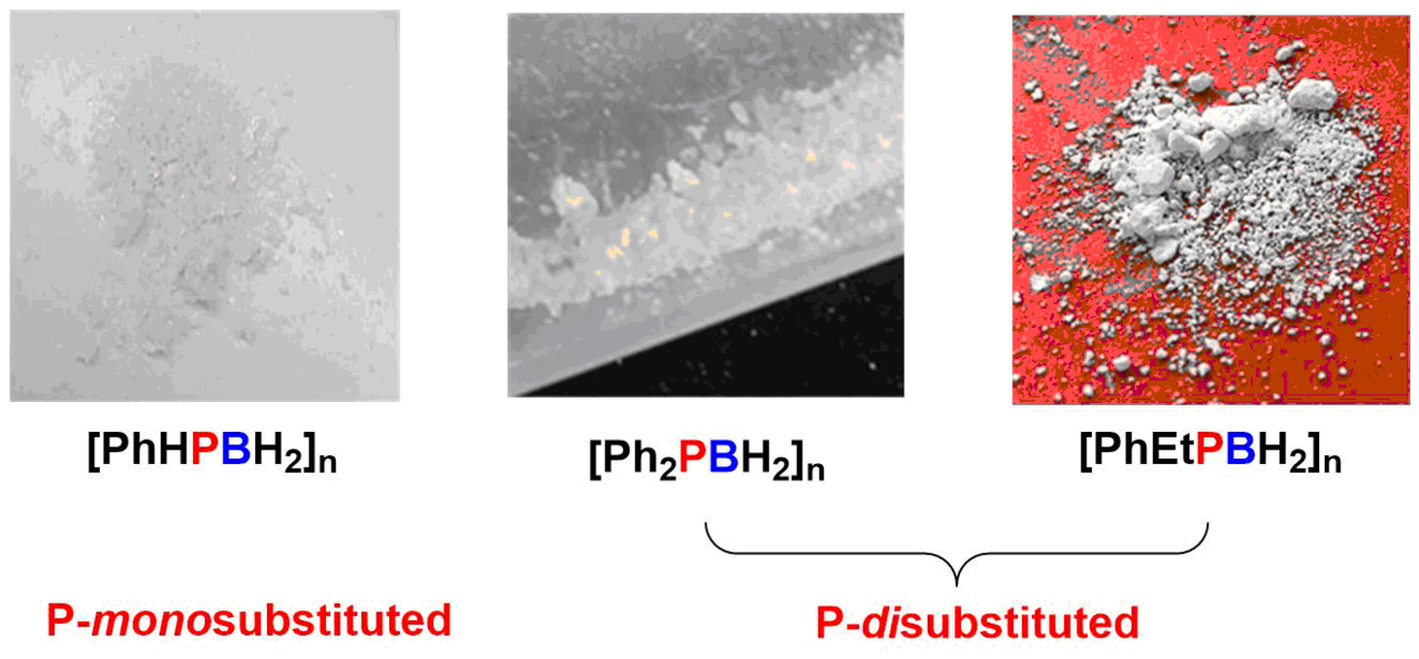 Metal-free dehydropolymerisation of phosphine-boranes using cyclic (alkyl)(amino)carbenes as hydrogen acceptors