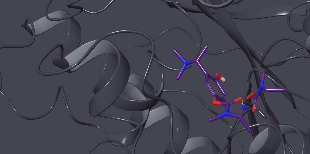 Rivastigmine and metabolite analogues with putative Alzheimer’s disease-modifying properties in a Caenorhabditis elegans model