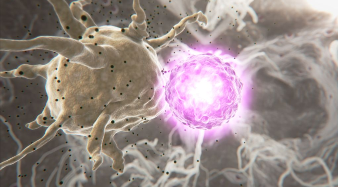 Journal Club: How are viral peptides presented to the immune system? 