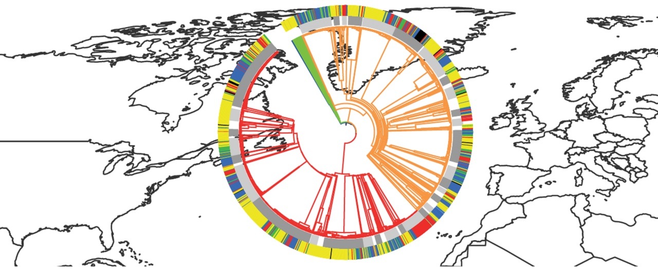 Listeria monocytogenes WGS: one method to rule them all