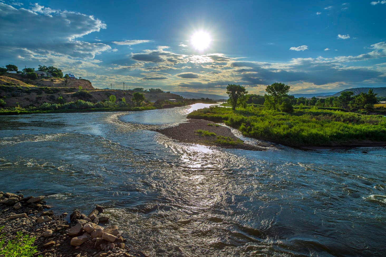 A genomic window into the complexity of life in the subsurface