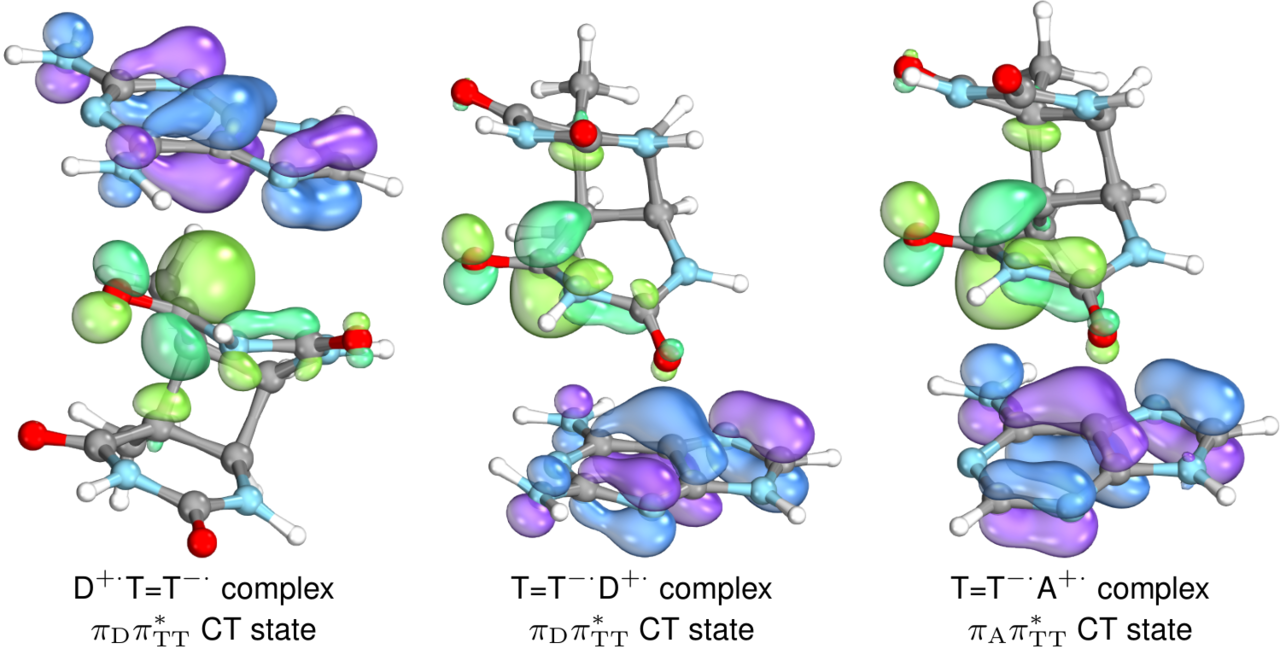 From a glass of beer to modified DNA