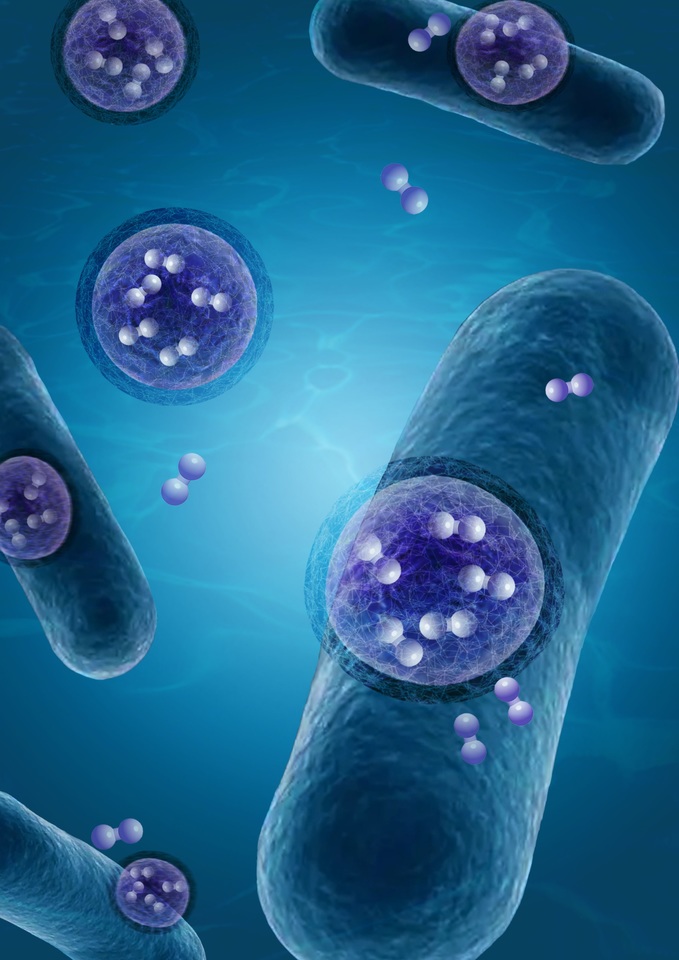 Perfluorocarbon nanoemulsions enhance electricity-driven microbial carbon dioxide conversion to acetic acid