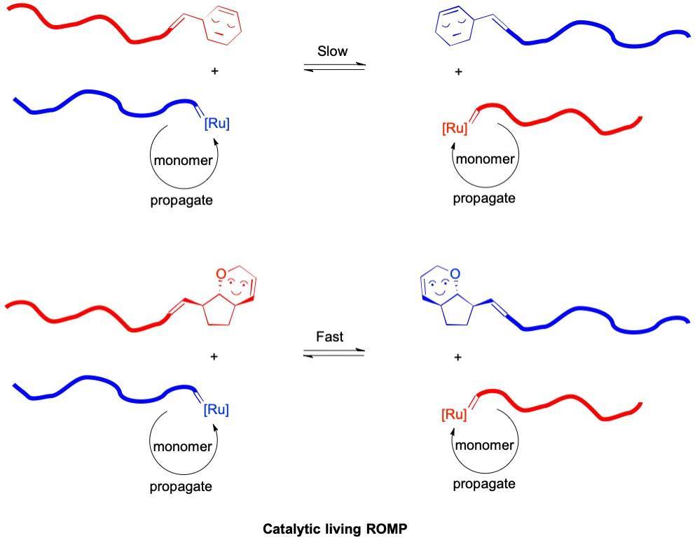 Catalytic living ROMP: this time it’s for real