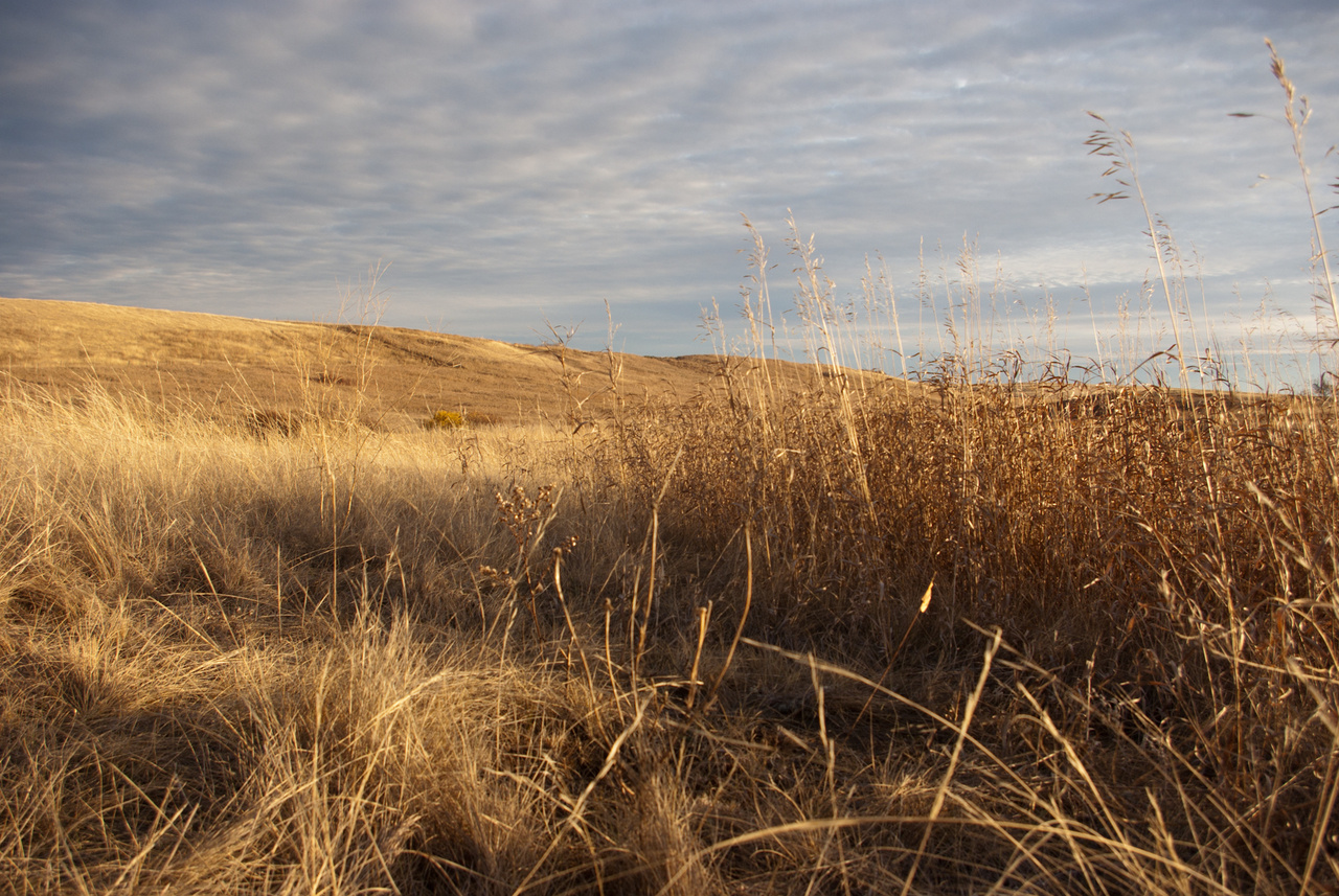 Determining the who’s who of microbial networks