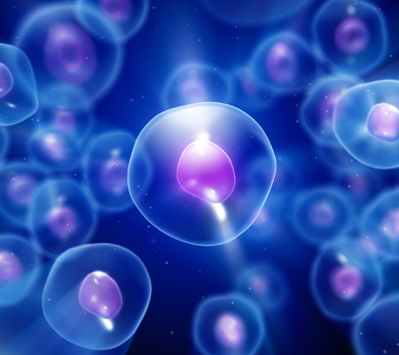 Regenerative medicine at the intersection of materials science and biology