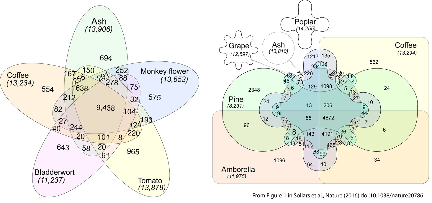 The evolutionary mystery of orphan genes