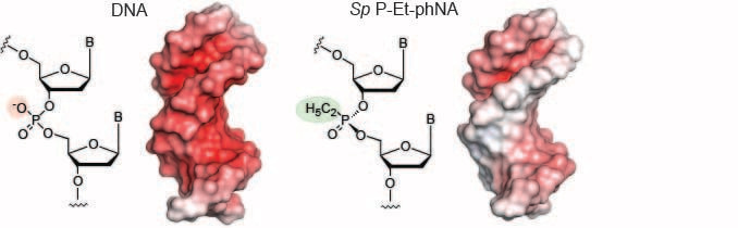 Genetic function without charge
