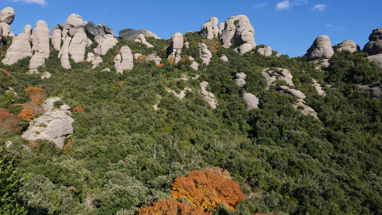 Identifying drought impacts in a data-rich world