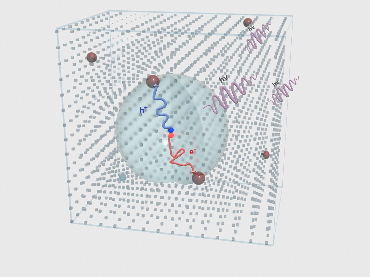Quantum dot reporters enable accurate diffusion length measurement in perovskite single crystals