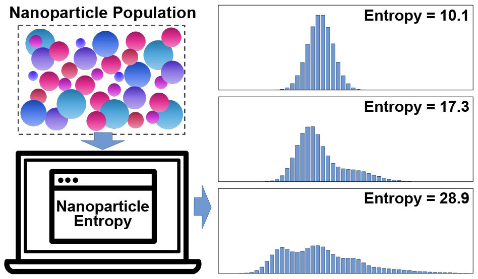 A novel tool to describe nanoparticle dispersity