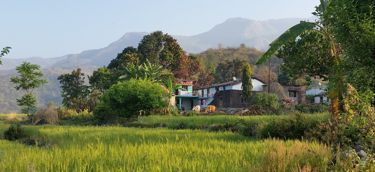 Coherent policies driving sustainable agriculture and food systems