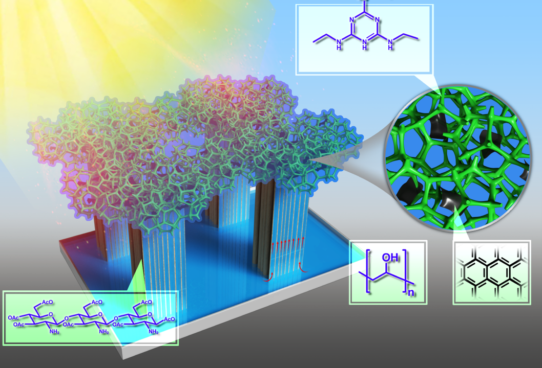 Biomimetic solar steam generation and transportation system