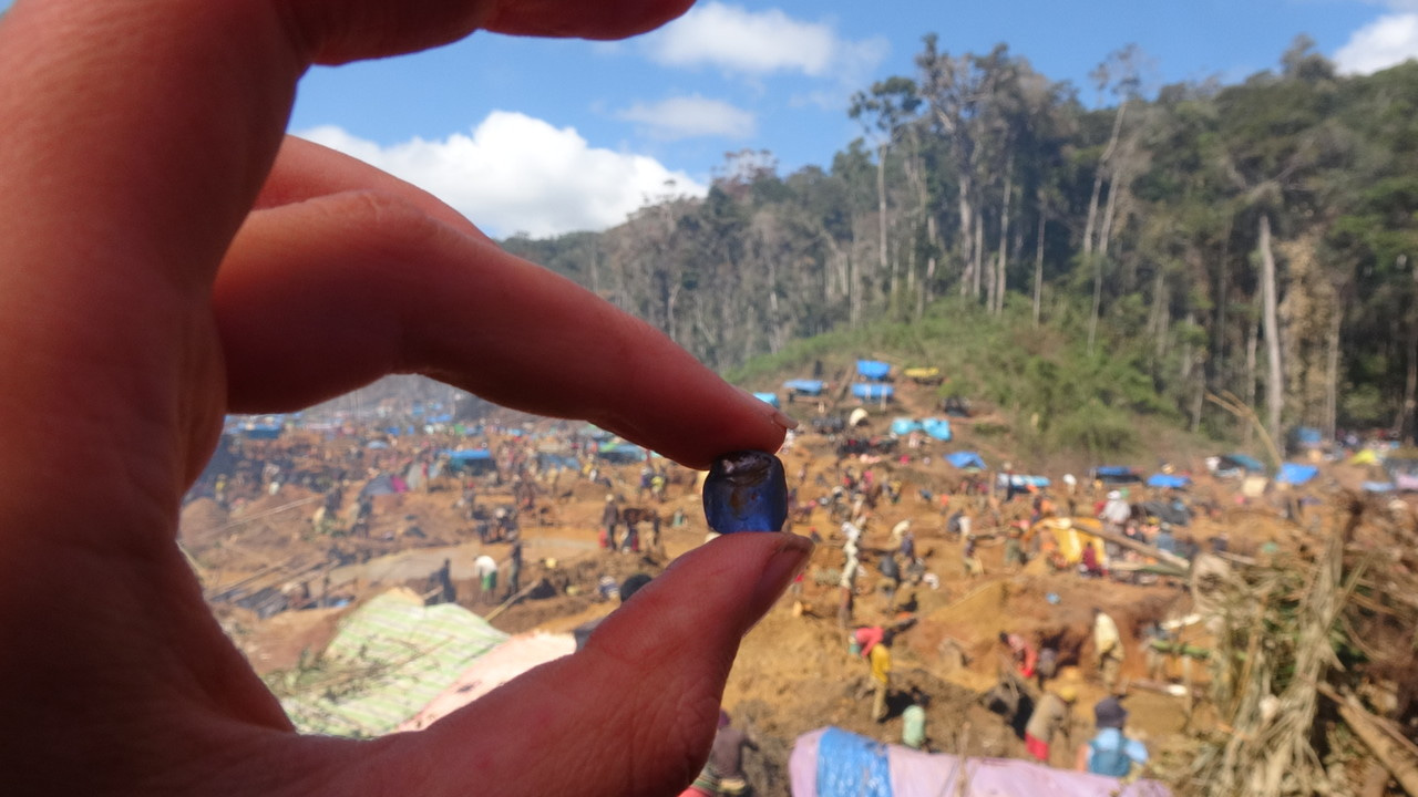 A wish list from conservation scientists to Madagascar’s new president