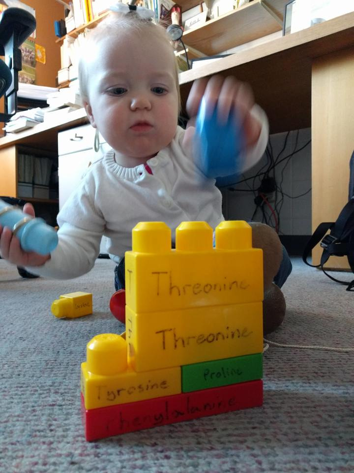 Systems Thinking for Education about the Molecular Basis of Sustainability