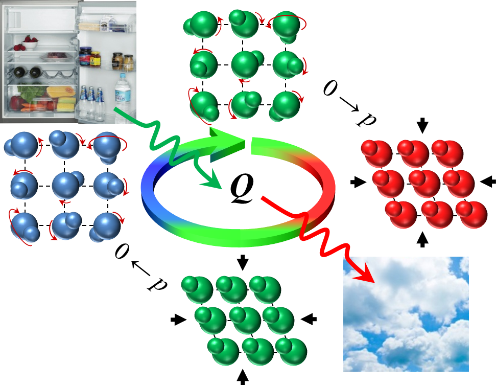 Colossal barocaloric effects near room temperature in plastic crystals of neopentylglycol