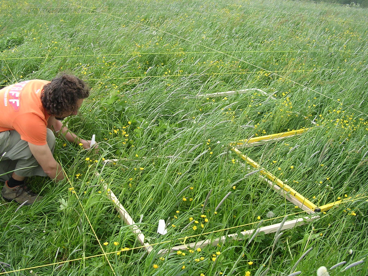 Plant diversity at local and landscape scales supports grassland functioning