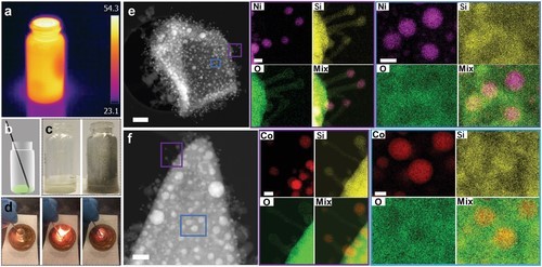 After the Paper | From a student to a professor: an after-the-paper story of 2D Si for CO2 catalysis