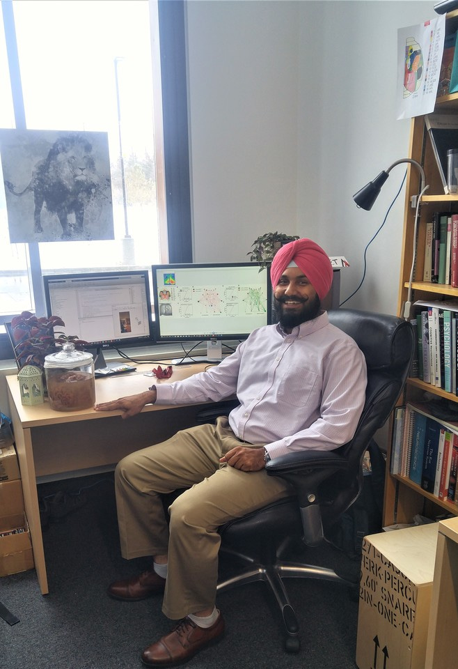 The race to publish: then and now