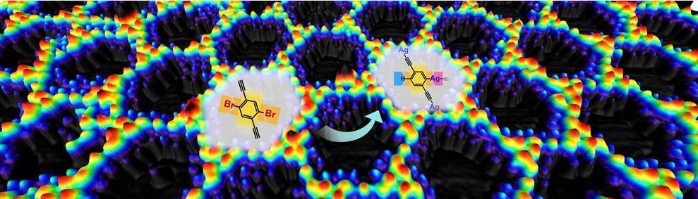 Binodal Organometallic Network Achieved by On-Surface Dissymmetric Reaction 