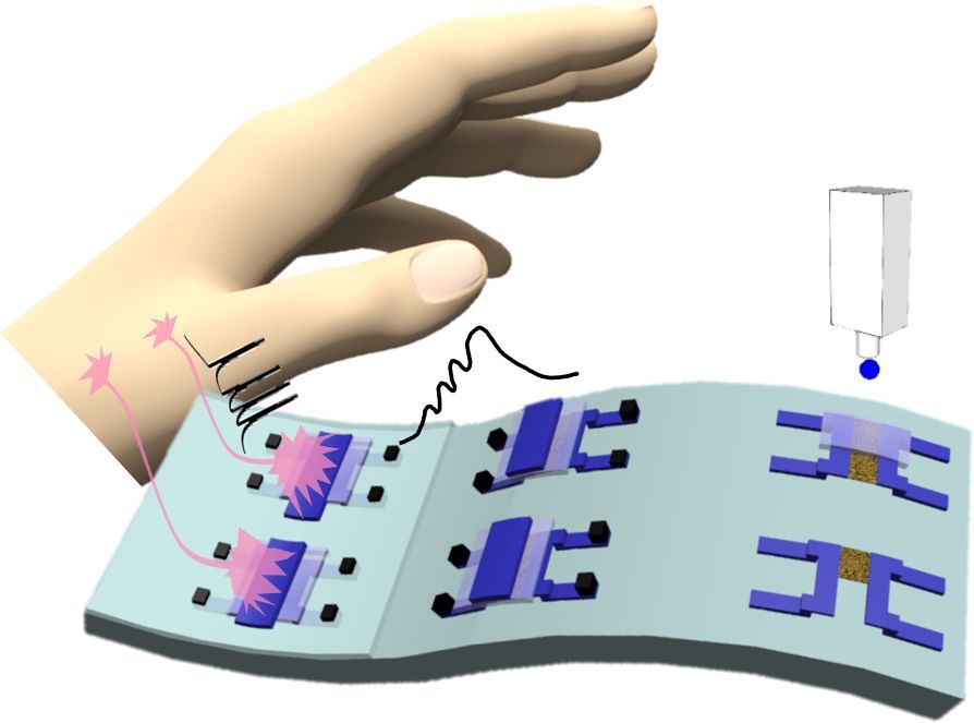 Printing electronics that look and feel like human skin and can “talk” to neurons