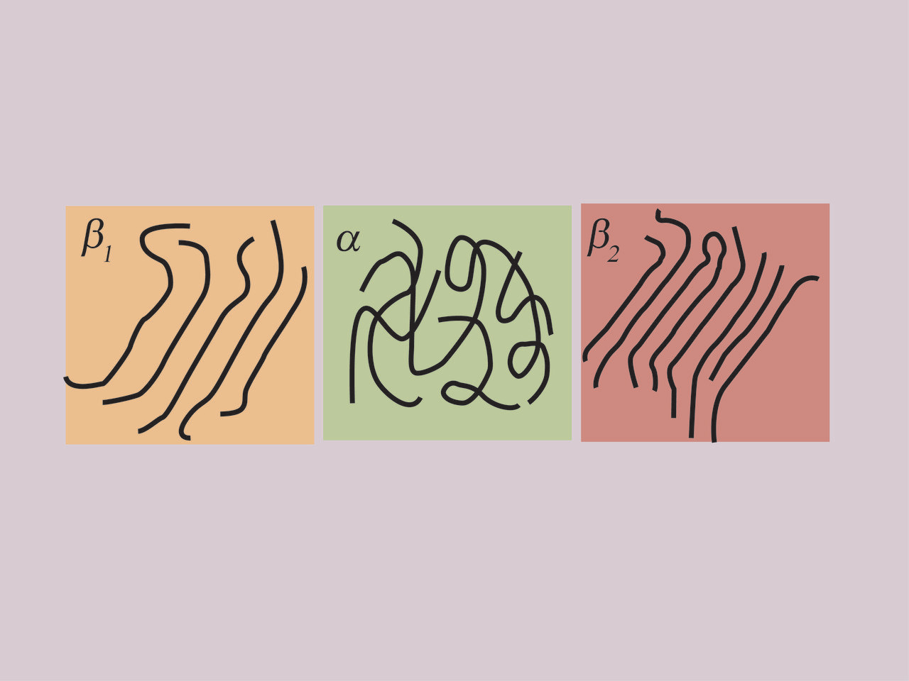 Polymorphism of a low-bandgap semiconducting polymer 