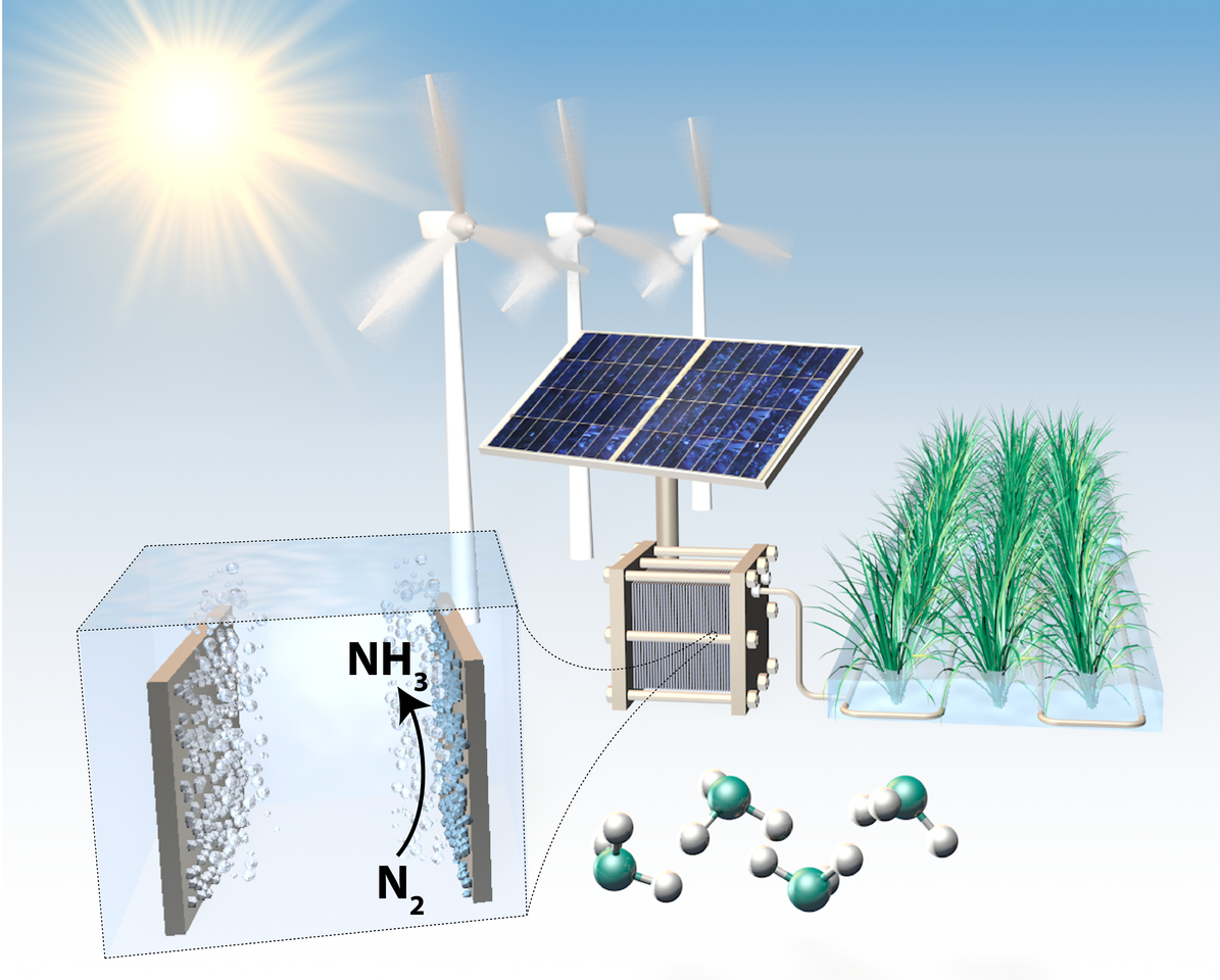 Electrochemical ammonia synthesis – Distinguishing fact from fiction  