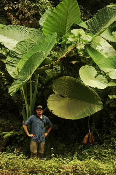 Go to the profile of Dave Armitage