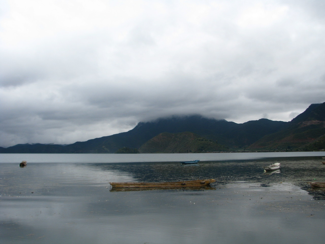 Alien animal invaders are shaking the cornerstone of global biodiversity conservation