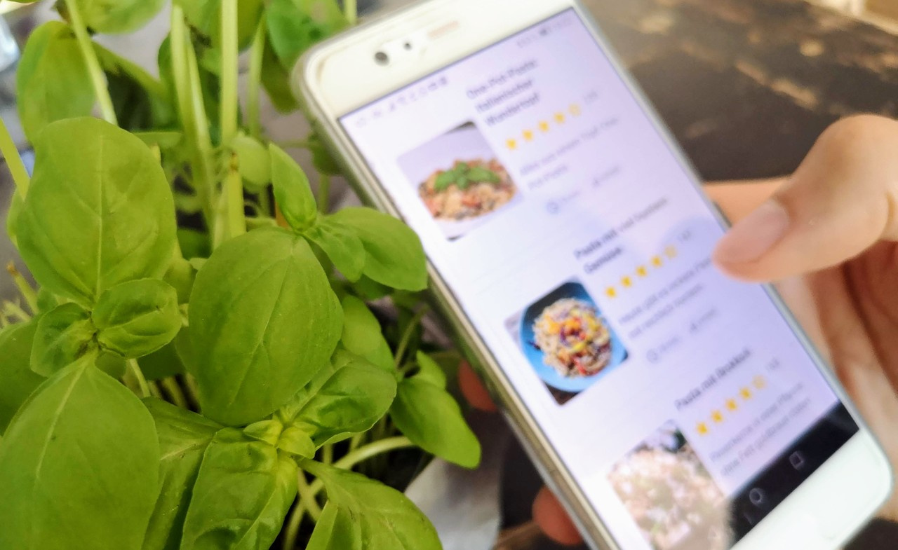 Rising adoption and retention of meat-free diets in online recipe data