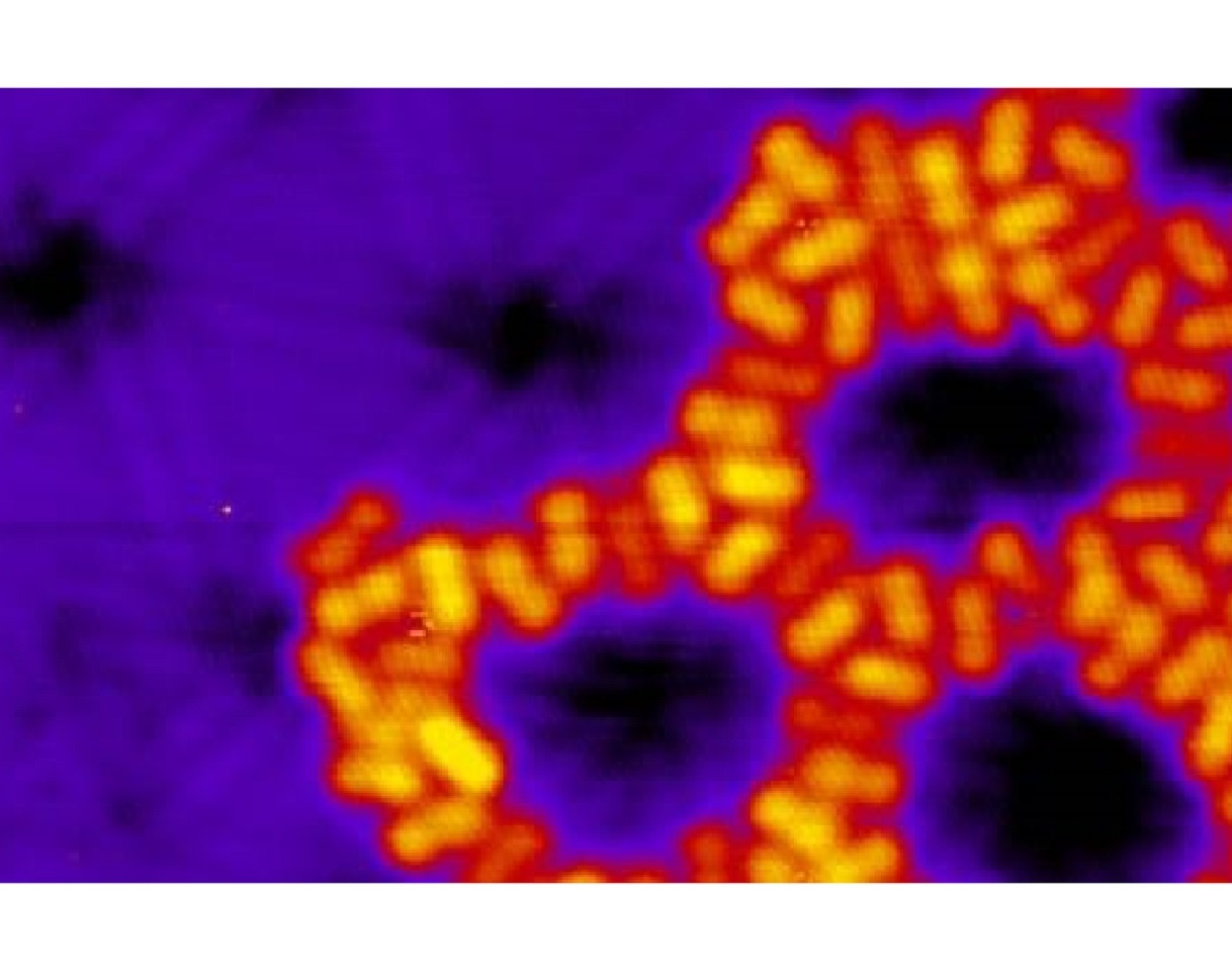 Organic porous structures on 2D defect networks