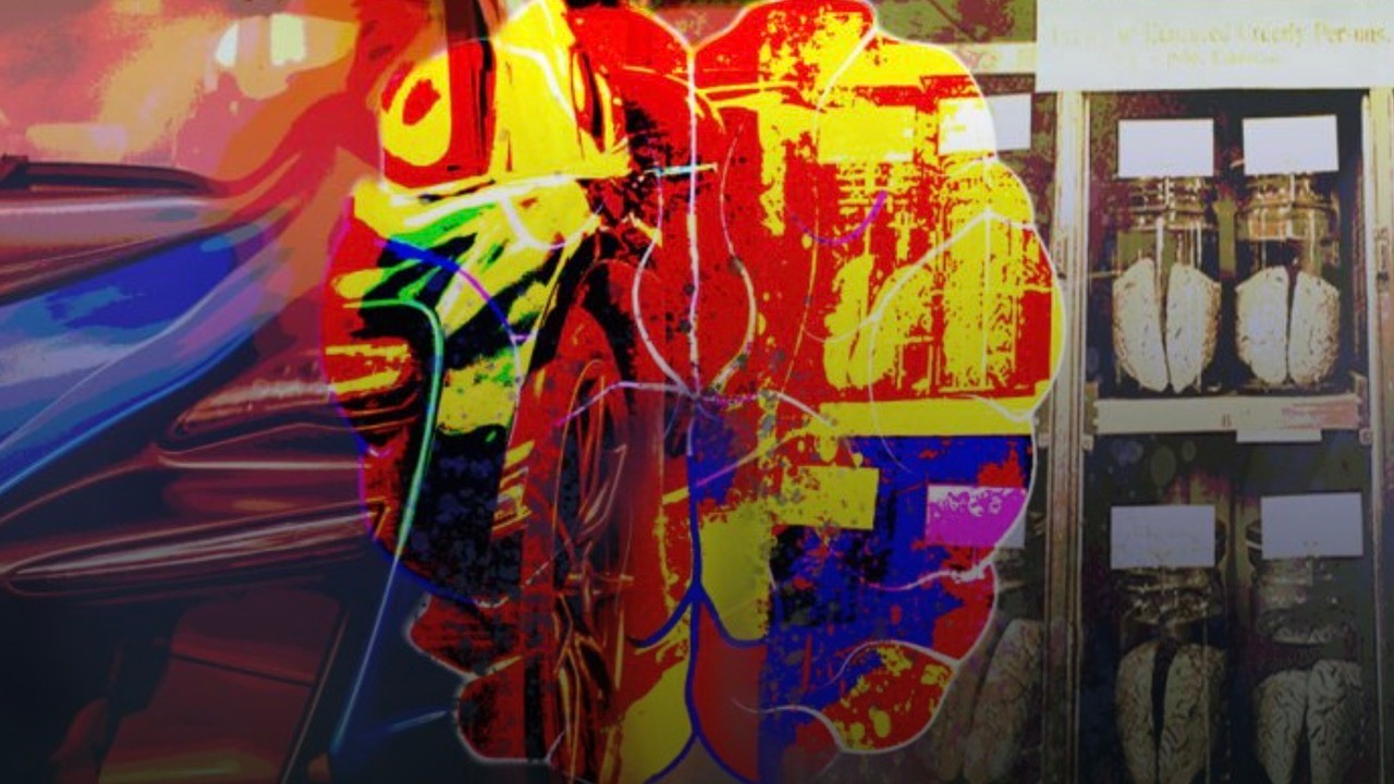 Brains old, new, and augmented