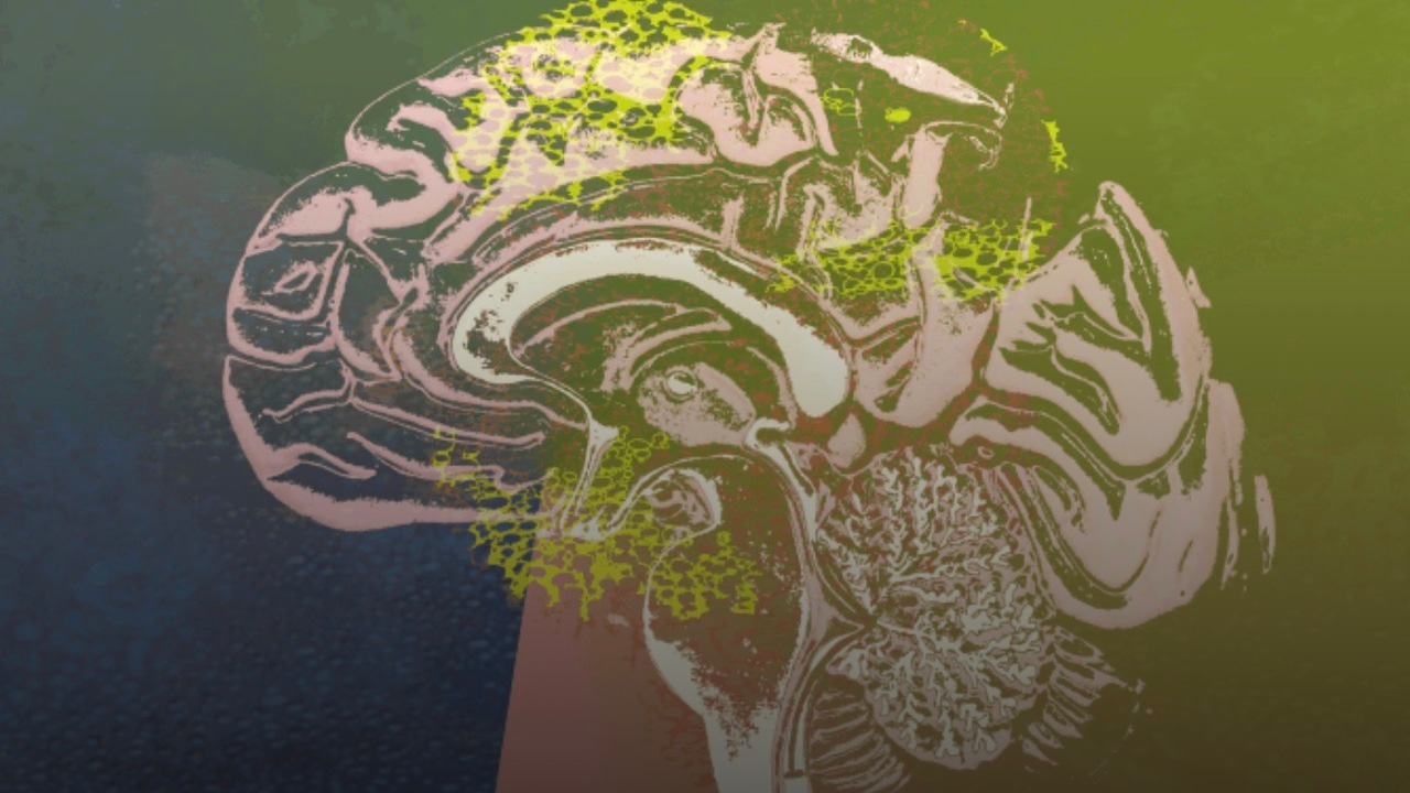 Electricity and the brain