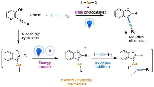 Visible Light Promoted Oxidative Addition to Gold(I) Complexes