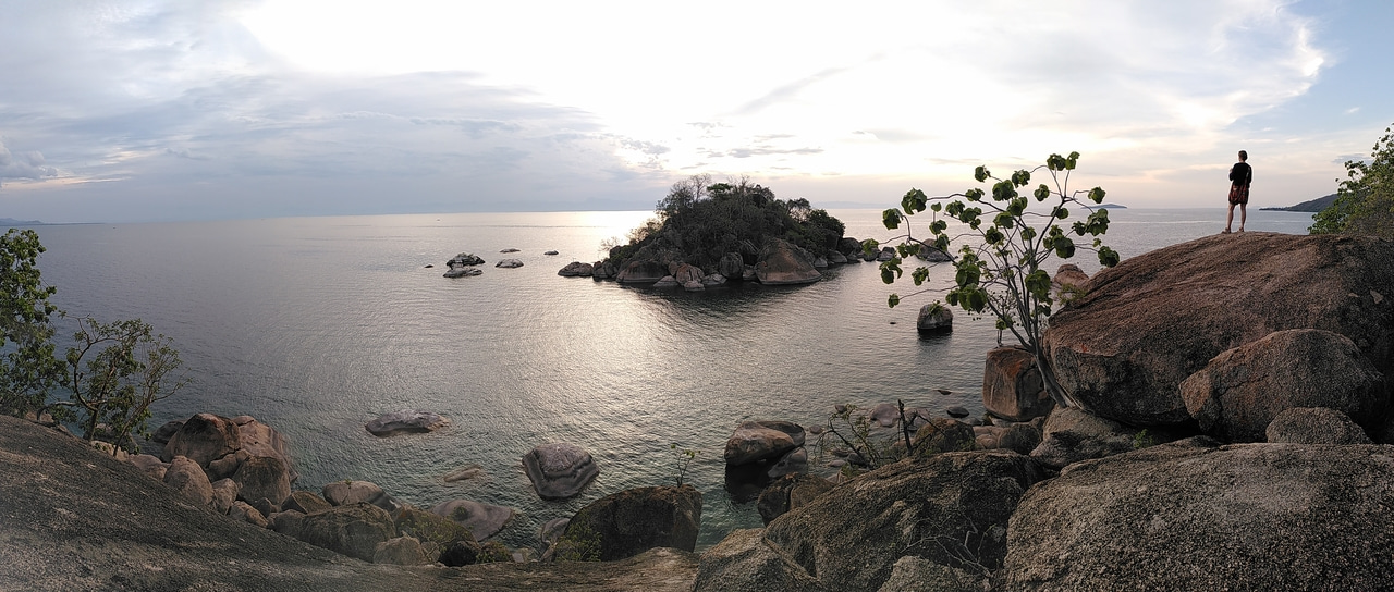 Hunting for endemic freshwater SAR11 on a global scale 