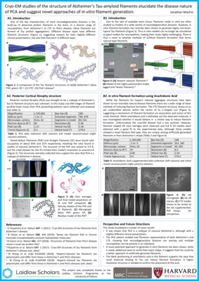Jon Machin: Cryo-EM studies of the structure of Alzheimer’s Tau-amyloid filaments elucidate the disease nature of PCA and suggest novel approaches of in vitro filament generation