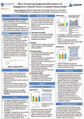 2018 Laidlaw Scholars - Conor Fitzmaurice - Research Poster