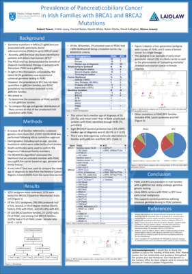 2018 Laidlaw Scholars - Robert Power - Research Poster