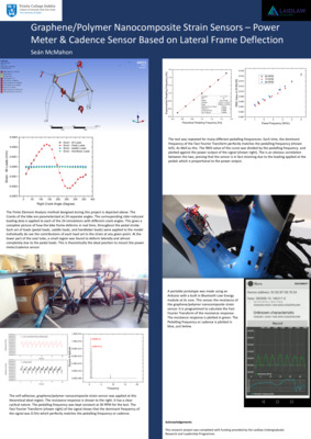 2018 Laidlaw Scholars - Seán McMahon - Research Poster