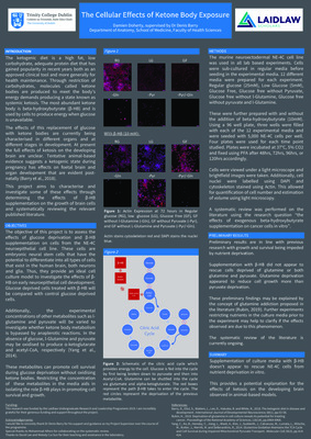 2019 Laidlaw Scholars - Damien Doherty - Research Poster