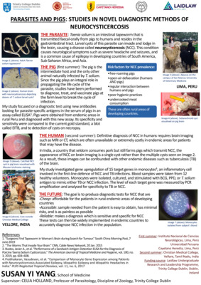 2018 Laidlaw Scholars - Susan Yi Yang - Research Poster