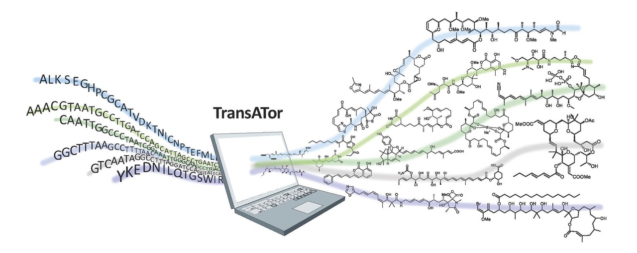 Trans(l)ating genome sequences into chemical structures for the discovery of unprecedented natural products