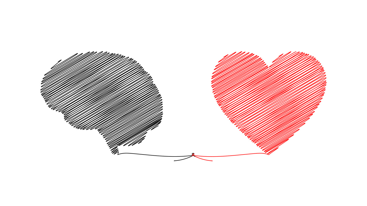 Fascination with the brain and anything neuro