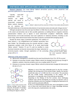 Blatter Radicals - Research Proposal