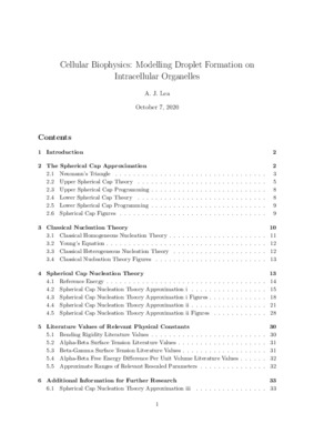 Summer 2020 Research Report