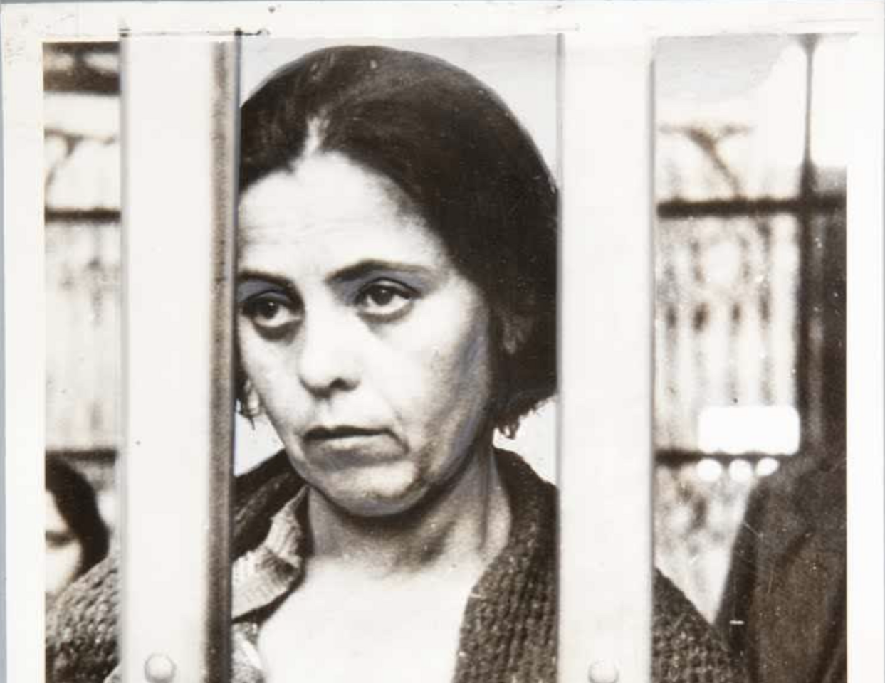 Featured Research: Women's History Month 2023