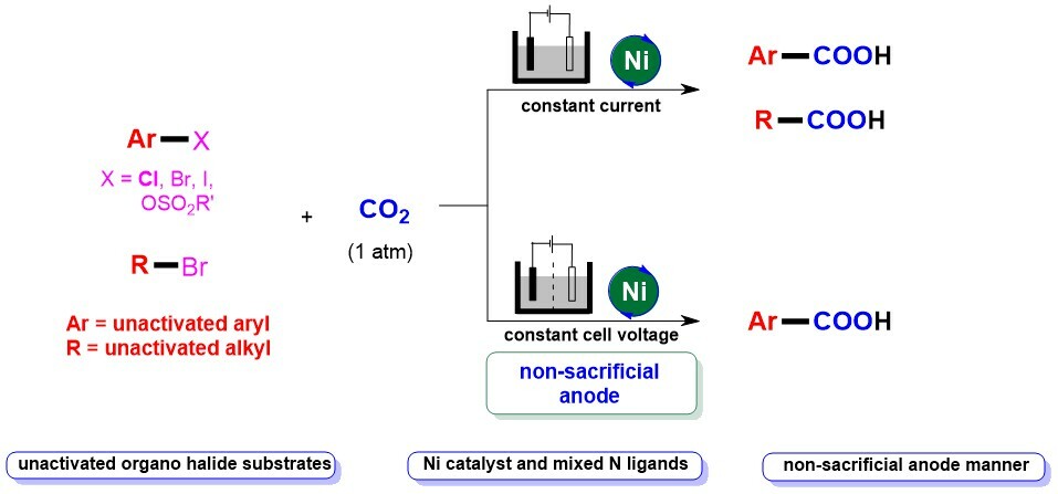 Nickel-catalyzed electrochemical carboxylation of unactivated aryl and alkyl halides with CO2